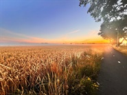 Bekijk deze foto groter. Foto: 'Buitengebied'.